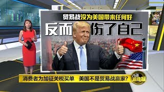 八点最热报 15/01/2020   中美签署第一阶段协议   贸易战大赢家不是美国？