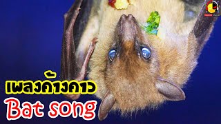 เพลงค้างคาว น่ากลัว Bat song