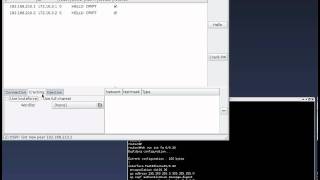 OSPF Authentication crack using Loki