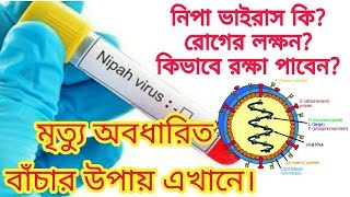 What is Nipah virus? What is the Symptoms of the Disesase? How do you Understand, Nipa Attacked?