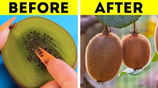 Smart Gardening Hacks And Plants Growing Tips