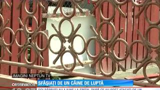 Sfâşiaţi de un câine de luptă