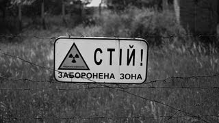 Сталкер Бессмертие и выносливость героя в игре STALKER