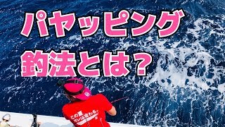 パヤオマグロジギング【パヤッピング】【粟国ジャーク】jigging