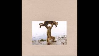 Shellac - Gary