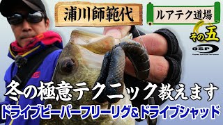 【冬の極意テクニック教えます】ドライブビーバーフリーリグ＆ドライブシャッド【浦川師範代 ルアテク道場 その五】