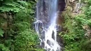 Японский парк с искусственным водопадом