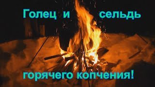 Копченый голец и селедка в коптильне из бикса!