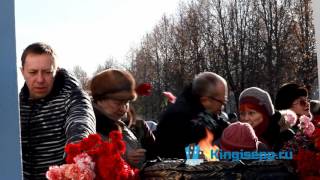 Кингисепп заплатил слишком огромную цену. KINGISEPP.RU