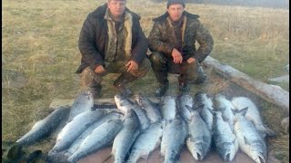 Крутая Рыбалка на Карпа ночью с Поплавком