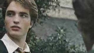 Cedric Diggory tribute-Hero