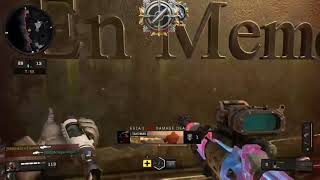 BO4 - Koshka Strelok Mod?