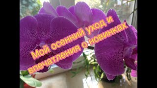 Мой осенний уход 2017 и косметические новинки: Yves Rocher/Bourjois/Eveline
