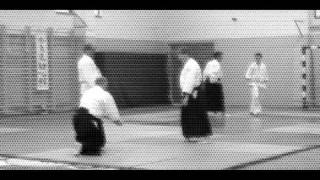 Aikido Shoshinkan 2010 Magyarország