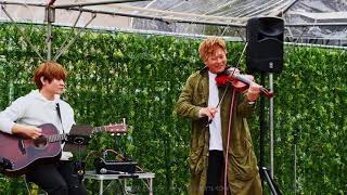 鬼滅の刃 紅蓮華 ヴァイオリン ver Violinist SHOGO