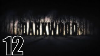Прохождение Darkwood Серия 12 "Так мы Джиперс Криперс"