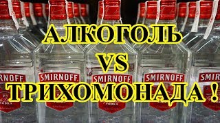 Трихомонада и алкоголь.