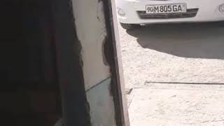 Gurlan kirop
