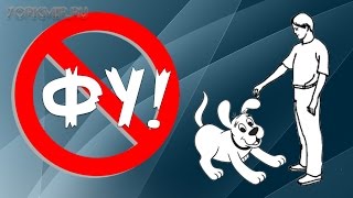 Команда Фу | Как научить щенка | Дрессировка.