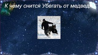 К чему снится Убегать от медведя (Сонник)