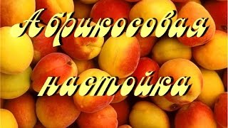 Самогонщик Тимофей. Абрикосовая настойка. Вкусный самогон :)