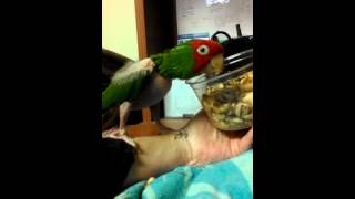Bogie climbs down