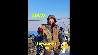 РЫБАЛКА В ХМАО. 3 ФЕВРАЛЯ 2020. ГЛУХОЗИМЬЕ ОТМЕНЯЕТСЯ.