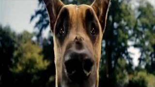 Trailer Filme Marmaduke - Dublado em Português