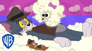 Tom y Jerry en Español | La oveja perdida