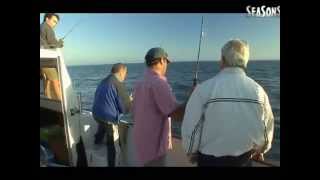 La pêche au bar