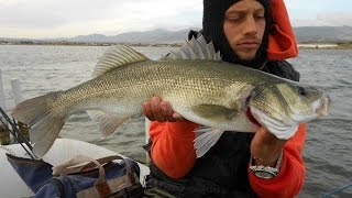 SEABASS EXPLOSION!!! Spinning poppers in Greece