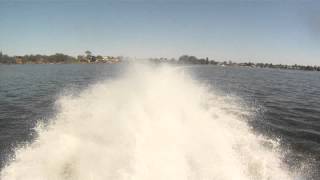Thundercat Yamaha 50hp 20" cleaver