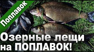 ЛЕЩИ на ПОПЛАВОЧНУЮ удочку! Перловка! Бонусный ОКУНЯРА)). 2018 г. (Рыбалка в 4K Ultra HD)