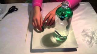 How to Make a Jellyfish in a Bottle | CraftLite