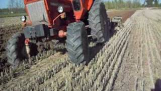 Belarus MTZ 80 in aratura