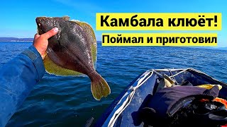Камбала клюёт! Поймал и приготовил