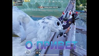 НАШЕЛ SCORPION , НОВЫЙ ИМБА ПИСТОЛЕТ!??