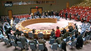 LIVE: UN Security Council discusses the Middle East and Palestine