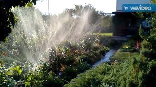 Полив шлангом  "Туман":не работа, а удовольствие. Watering