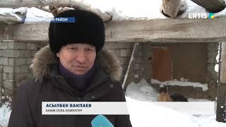 ИДЕТ ОХОТА НА ВОЛКОВ