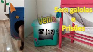 Village Pet Hotel Fazenda - Hotel para cães e gatos