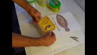 KILLER FLUKE RIG with Gulp - best summer flounder fishing rig on earth - fluke rig - KAYOSS RIG