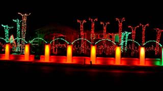 Fred Loya's Christmas light show