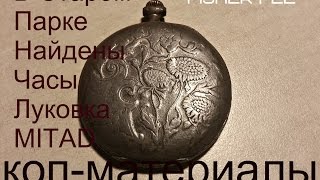 Не ожиданая находка В парке найдены часы Луковка старинные