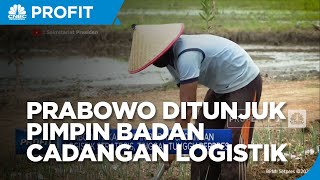 Prabowo Akan Pimpin Badan Cadangan Logistik Strategis