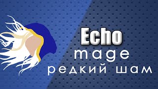 Hearthstone: против редкого шамана