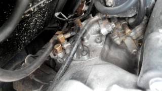 Обзор скутера Suzuki Sepia Zz tuning