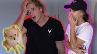 SHE ACTUALLY LOST MY DOG!