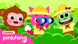Las Aventuras en la Selva | ¿Cuál es tu Decisión? | Animales | Pinkfong Cuentos Infantiles