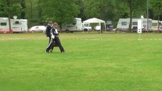 WDSF 2017 Obedience -1